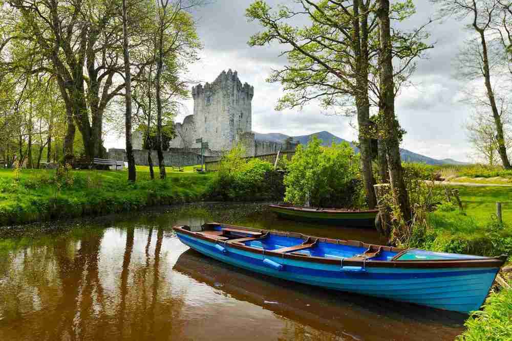 Celtic Steps Blog
